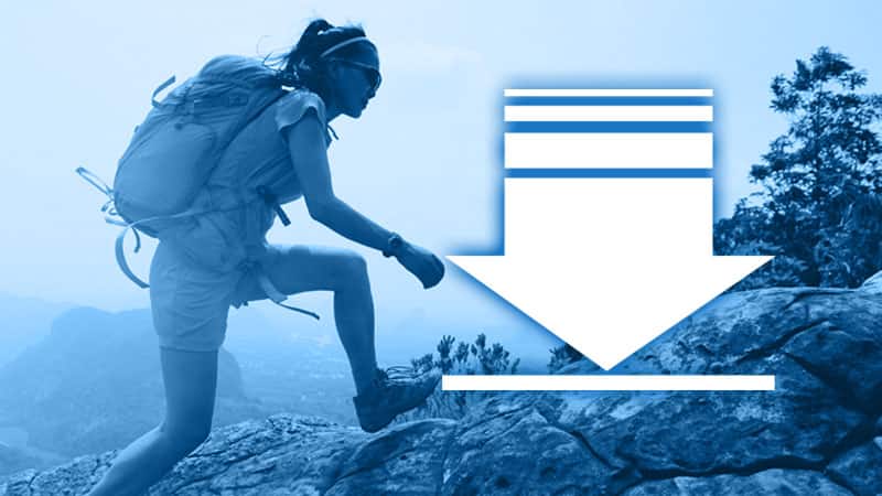 Download User Guide