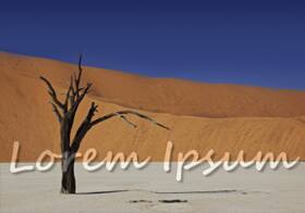 Beeindruckende kreative Effekte