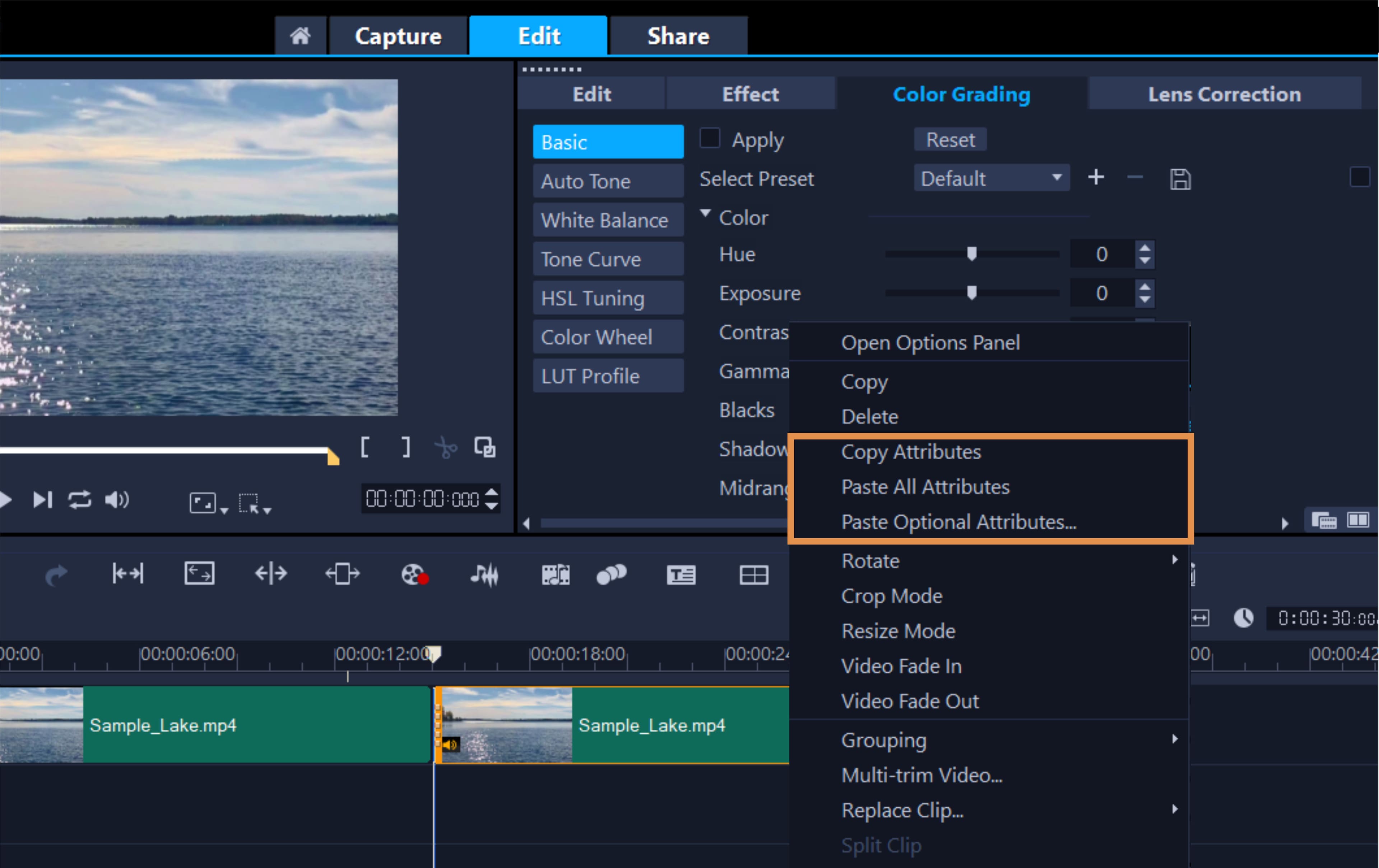 Apply effects to multiple clips if needed