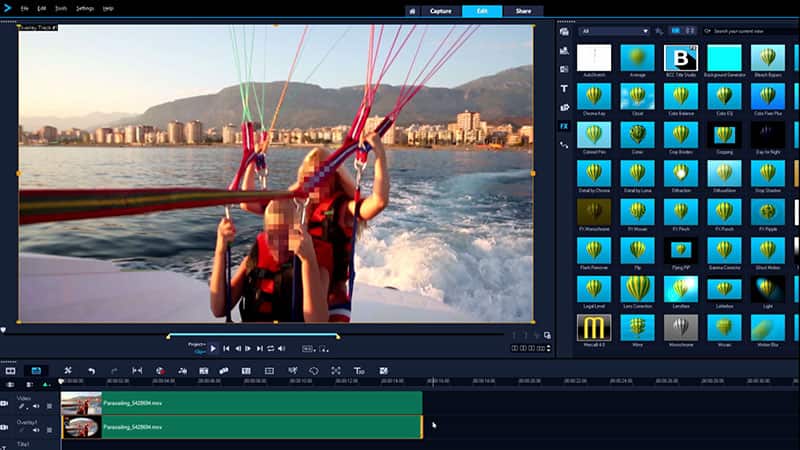 Apply blur or distortion effects
